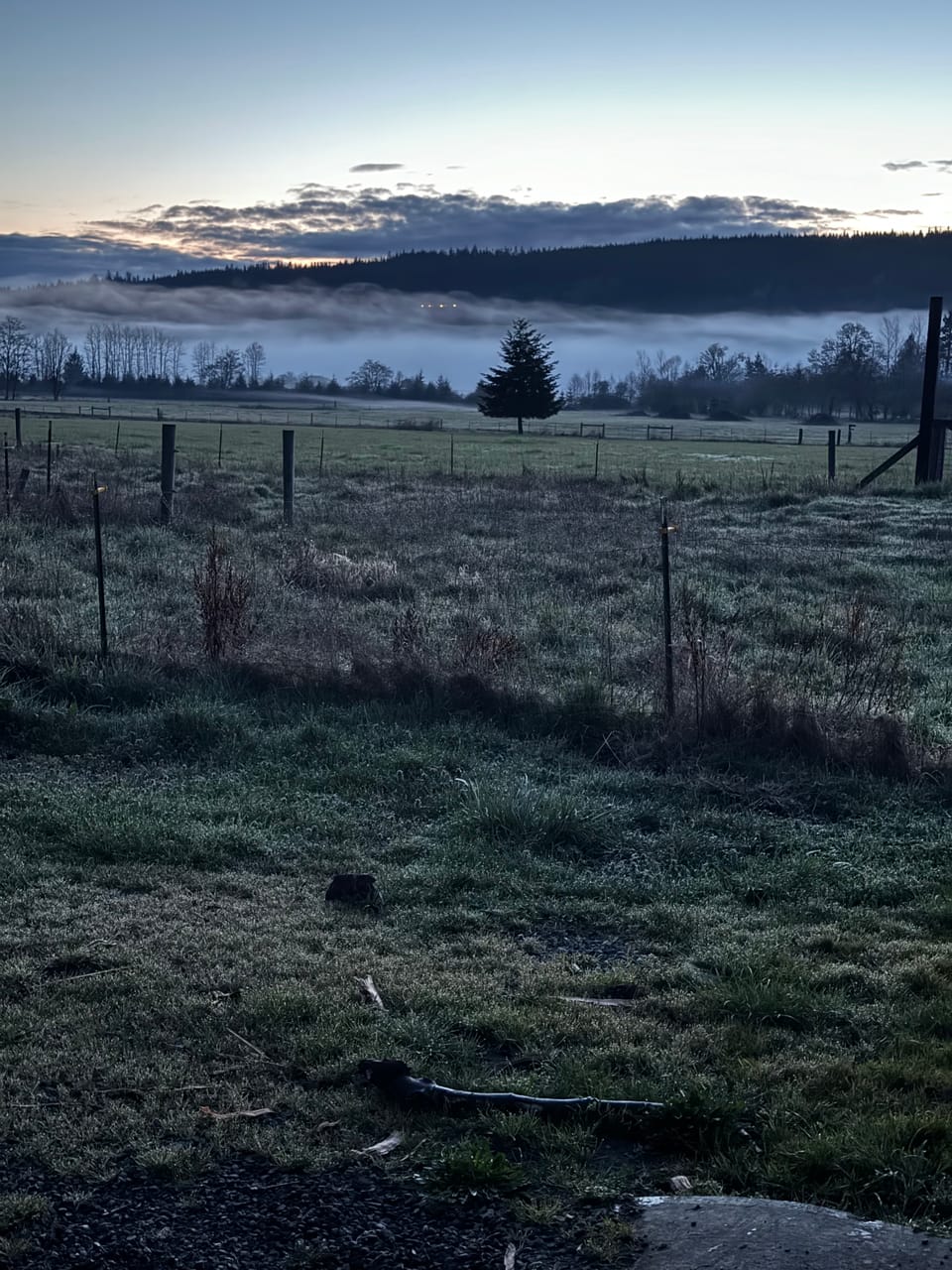 Early morning fog over the farm in Jefferson County