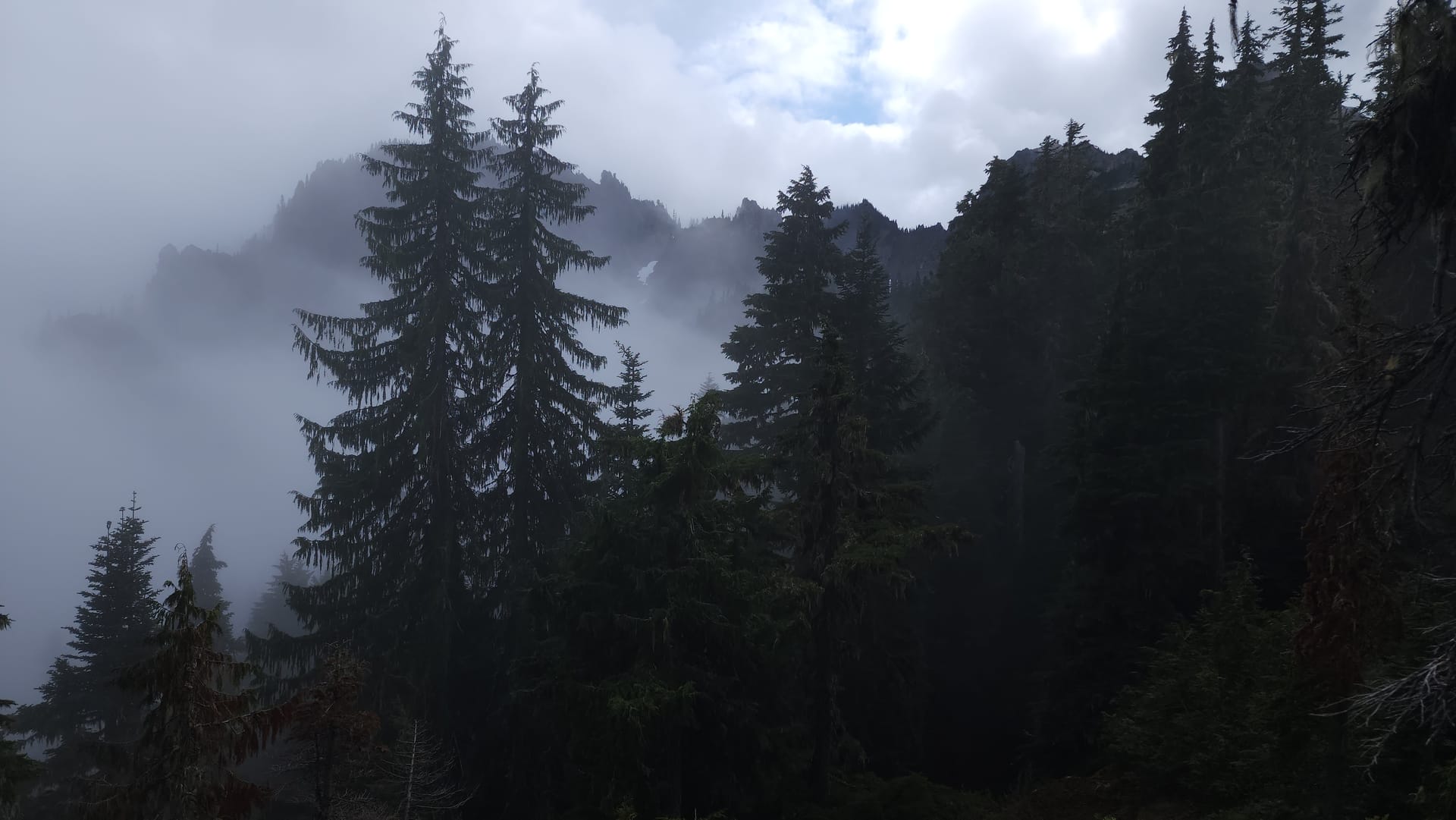 Fog and cloud rolling through the Olympic Mountains